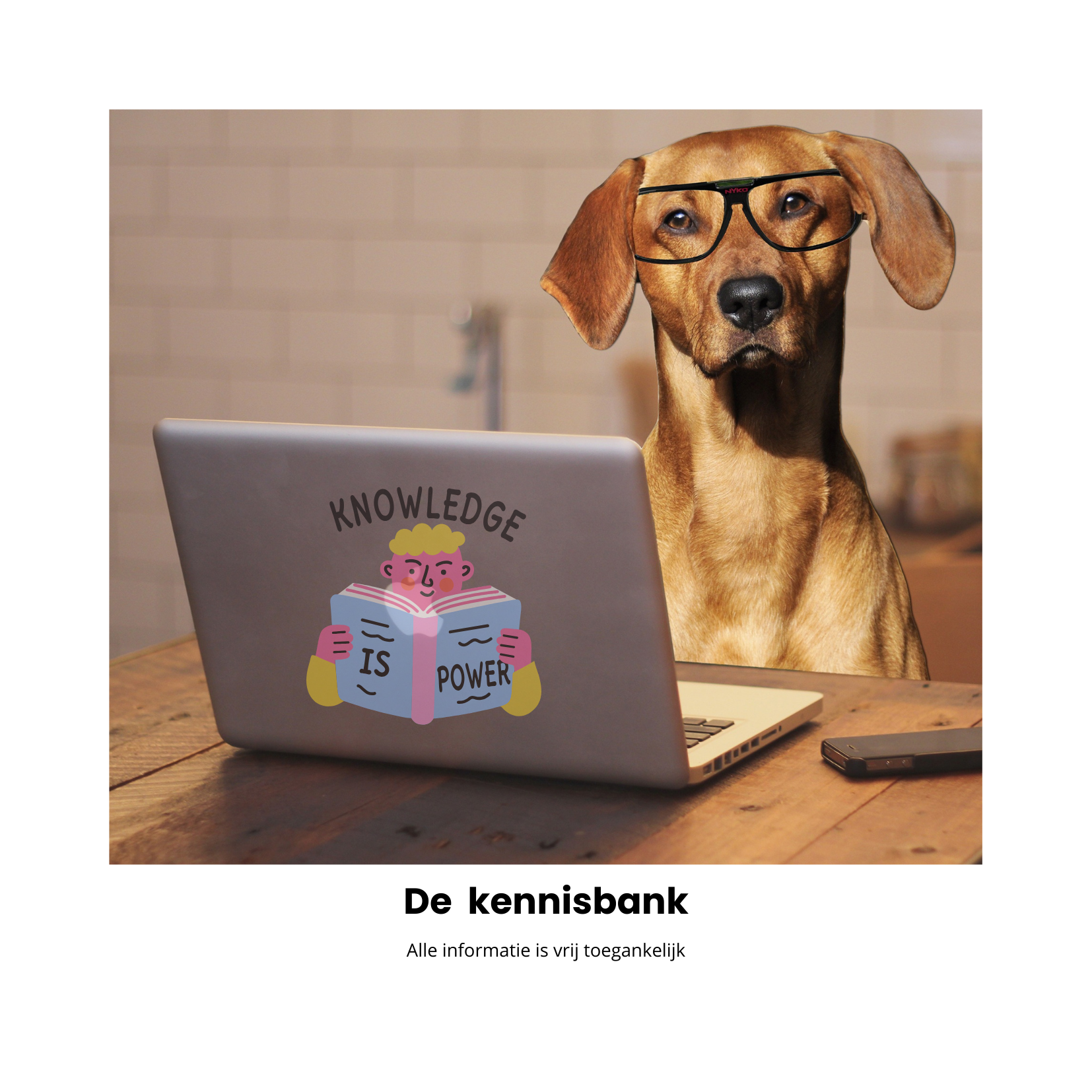 Hond met bril achter laptop